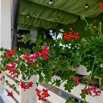 בית הארחה Jasmine