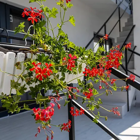 Gasthof Jasmine *